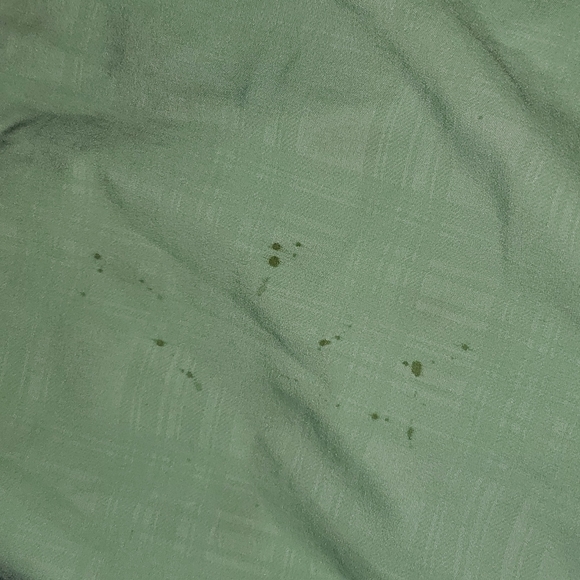 Mint Rssurf Shorts - Picture 3 of 4